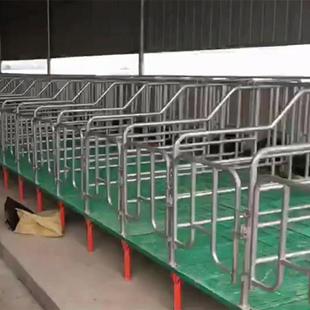优惠母猪定位栏人字腿支撑母猪产床定位栏小猪保育床尺