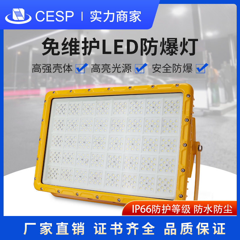 隔爆LED泛光灯120W适用于ExdIICT4,可配一进一出2个M20规格