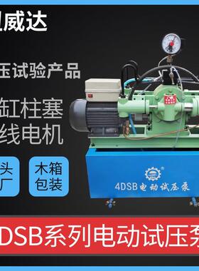 管路检漏仪压力泵4DSB电动试压泵25mpa压力测试机