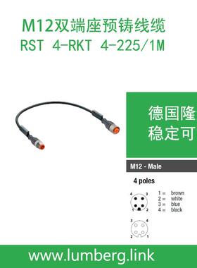 lumberg德国隆堡4芯双头预铸1米线缆RST4-RKT4-225/1M
