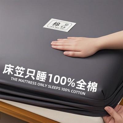 新款纯色全棉床笠罩单件纯棉加厚床罩2025新款床单床套罩四季通用
