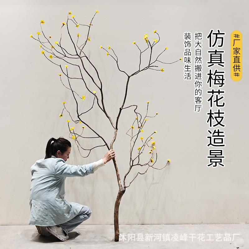 天然干树枝商场装饰造型树干室内枯枝插花造景仿真绿植梅花枝树杈