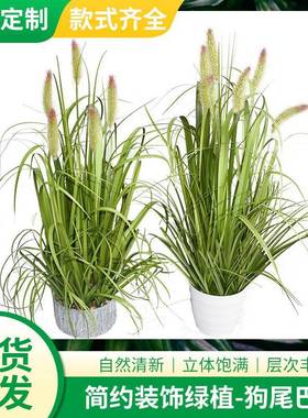 仿真植物草狗尾巴草头绿植造盆景绿化风格绿色红尖人造狗尾巴