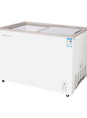 穗凌WD4-165K冰柜展示柜卧式单温一室冷冻冷藏转换柜保鲜商用冷柜