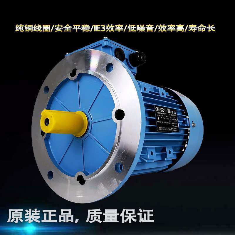 FEMA双速电机FM100L-2/4 3.3/4KW机械设备B5盘搭配涡轮蜗杆减速机,电子元器件市场,其它元器件,淘宝优惠券,粉丝福利购,淘宝优惠卷