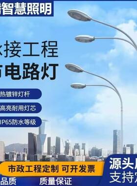 LED市电路灯市政高杆高亮户外防水路灯6米8米10米城市照明路灯杆