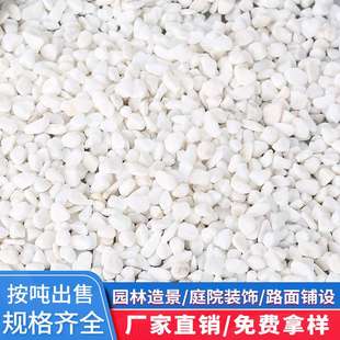白色石子雪花白砾石水洗石头园林装饰庭院造景铺路透水材料鹅卵石