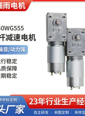 12V24V大扭力金属齿轮涡轮蜗杆减速电机5840WG555微型马达