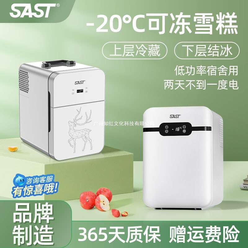 SAST车载迷你小冰箱宿舍出租房小型母乳单人用冷藏箱车家两用