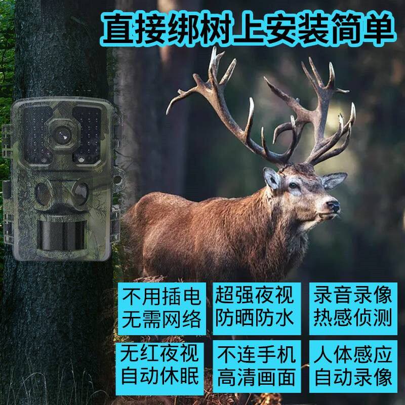 野外无红摄像机山护林户外感应红外动物观察槟榔园森林业电池监控