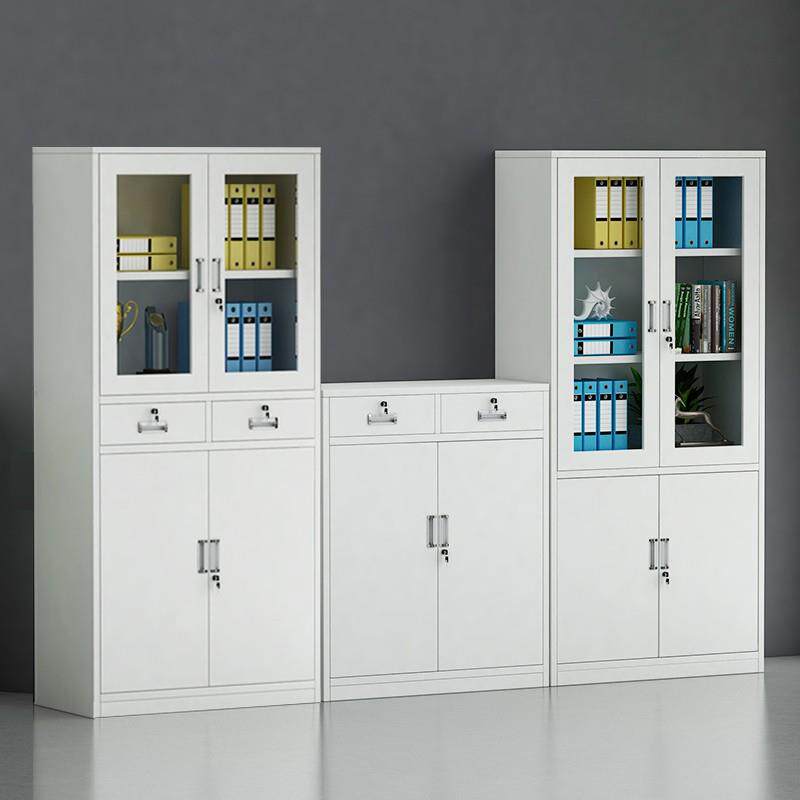 钢制文件柜办公舍资料柜档案凭证员柜工宿收纳锁储SCH----0物柜带