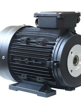 三相5.5KW空心轴内插电机与AR，霍克，interpump高压泵等匹配