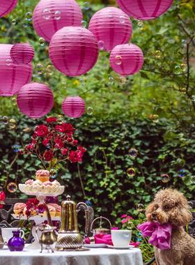 20Pcs玫红色灯笼套装情人节烂漫装饰灯笼折叠悬挂纸灯笼庭院布置