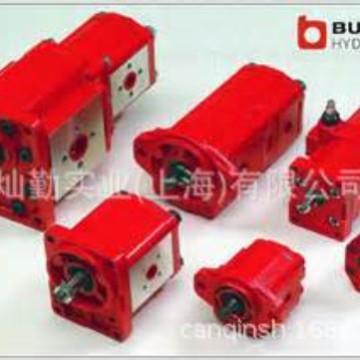 BUCHER齿轮泵，BUCHER液压泵