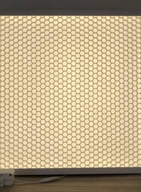 600*600蜂窝格栅深度防眩光Ra90平板灯面板灯学校办公室平板灯