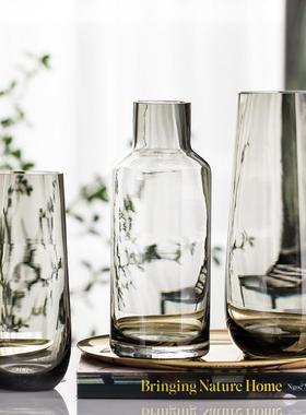 北欧花现代简约台面瓶客厅餐轻奢玻璃花透明水养桌插花瓶THD装饰