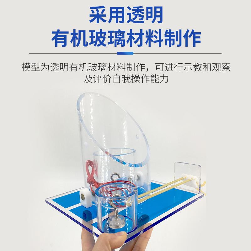 教学模型打结教学227模科打外结技能训练模型结模型打外科模型型