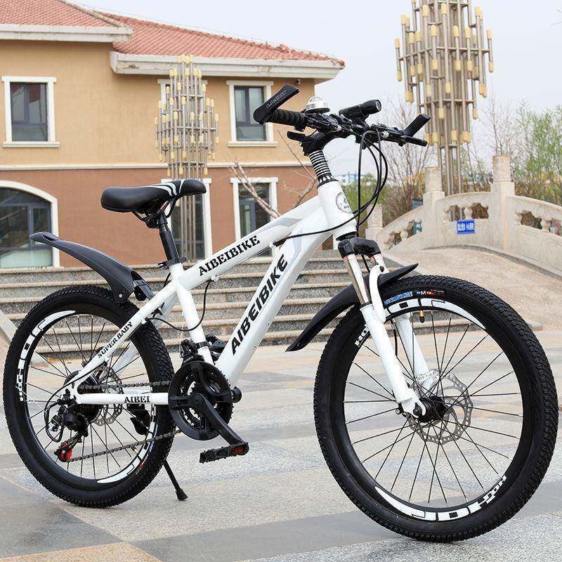 成人寸山地变自行车2寸26寸双碟刹2速厂家直供1速24速2022寸中学