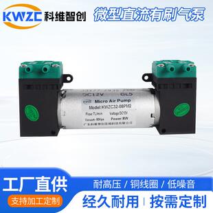 32-08PM2微型555隔膜气泵12V机械设备静音负压抽气泵微型双头泵