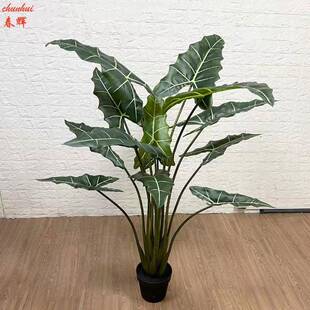新款网红绿植盆栽仿真萨利安海芋室内客厅造景绿植摆件假树