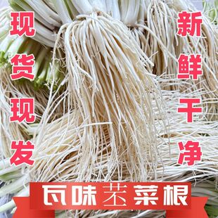 苤菜根云南德宏新鲜特产现挖菜根瓦味鸡爪配菜划算傣味正宗