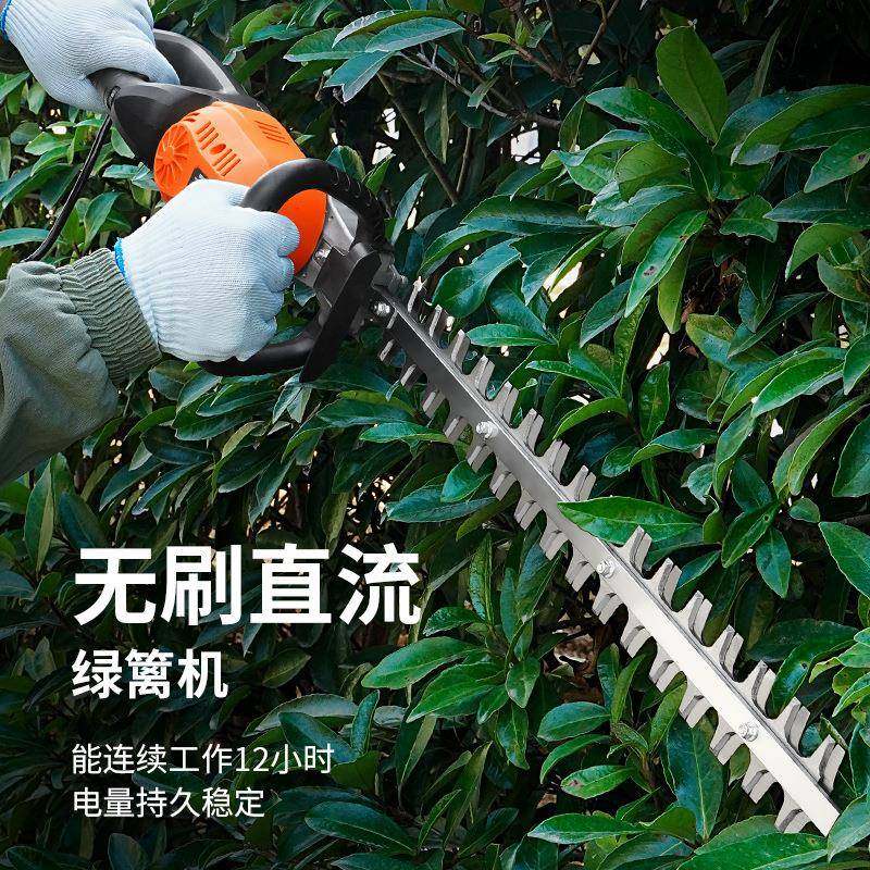 刷充电式KLY锂电电无动绿篱机剪茶叶篱笆修剪机茶家园用林绿化修,鲜花速递/花卉仿真/绿植园艺,割草机/草坪机,淘宝优惠券,粉丝福利购,淘宝优惠卷