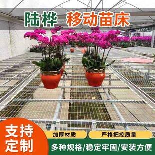 果蔬苗花圃培YKI育苗床大棚温室植农物种场植热镀锌网片移动苗育