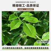 真植F98T7MH5幸福树财树客厅高绿发端轻奢大仿型落地仿生假植物室