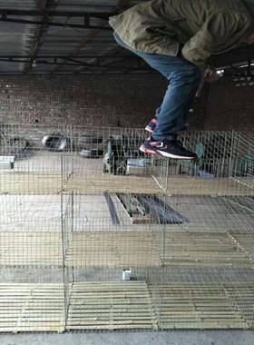 厂ODB家业生产销殖售养兔笼层兔专子笼312笼位养殖兔笼