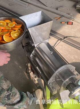 WIQ大海果李子功率渣汁分棠梨离果汁机黄金全自动果肉榨汁机