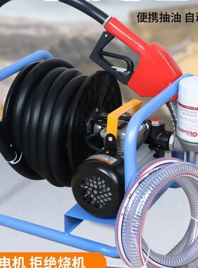 温港12v2V20V油电动抽2油泵加油泵柴4自吸泵加油枪车FCI载小型加