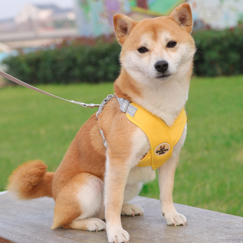 日系宠物狗狗牵引绳胸背带中小型犬雪纳瑞柴犬可调节背心式遛狗绳