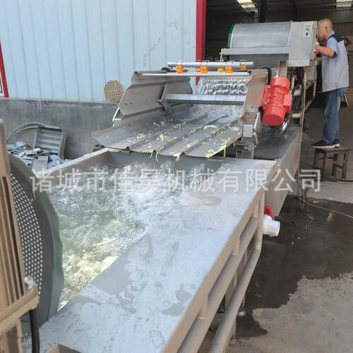 清洗净菜设备净菜清洗机蔬果鲜切清洗机涡流气泡清洗机
