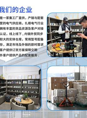 双电源446自动转换开关光伏市C电发电切换不断V电黑色款A机2202P3