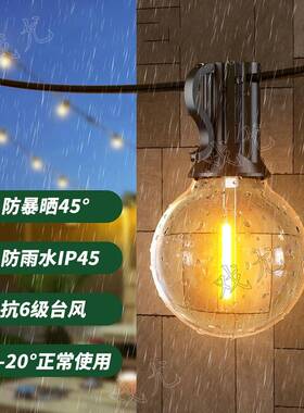 G40灯串24ESA节V欧规低压带遥防水户外le庭d灯串院婚礼日露控营串