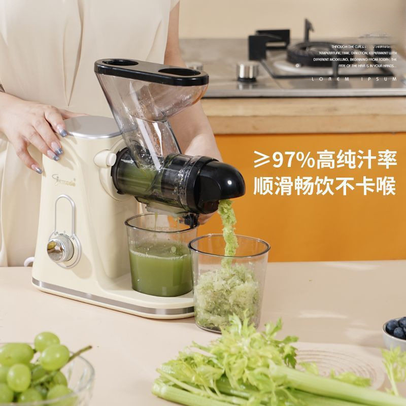 大口径卧式原汁机汁渣分离小型家用土豆西芹果汁蔬榨汁机慢磨