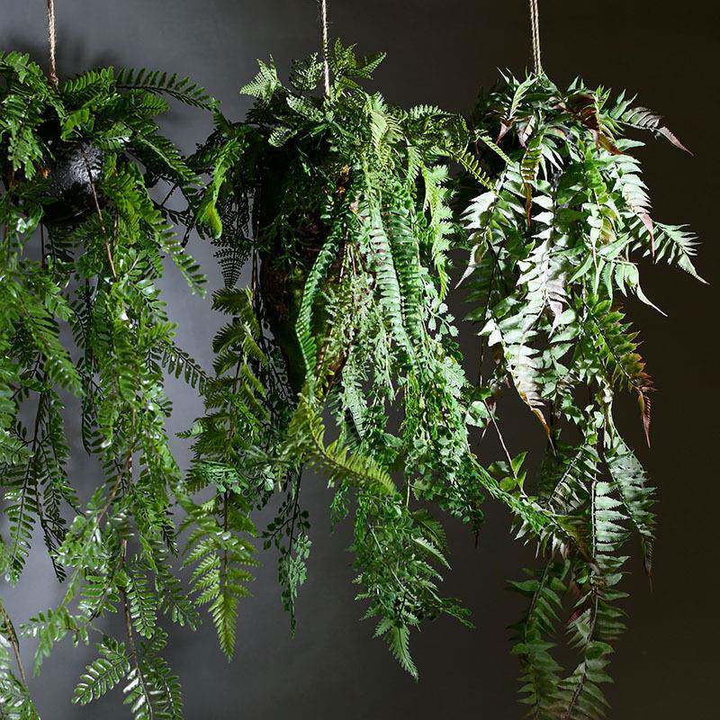 仿真绿植酒吧吊顶植物厥叶壁挂波斯厥苔藓草皮餐厅装饰花材多肉