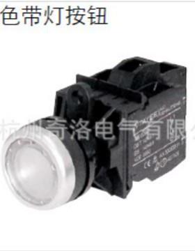 供应TAYEE上海天逸φ22双色带灯按钮开关LA42PD2-10/DC24VRG