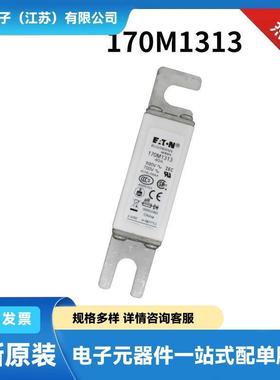 170M7138170M7139170M7140170M7141原装高压熔断器熔芯
