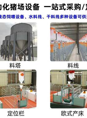 养保殖场母猪定位栏落地式限位猪用定位栏带槽栏厚加OSV产床仔猪