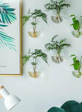 6个装透明圆壁挂培水植物花瓶式创意悬挂墙壁玻璃花形瓶家居KRD装