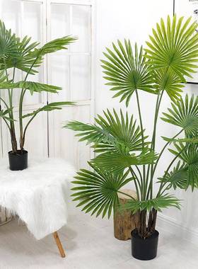 玫新款龟背北MR22154欧蕊绿植厂室内酒竹店工程造景仿真植物盆栽