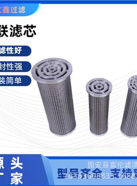 LYEPM3/825汽轮机滤油器滤网2-45685-0924-9不锈钢油过滤器并联滤