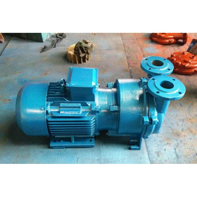 2BV循环水泵水环式真空泵B2V2060机械790密封型小水式环真空泵