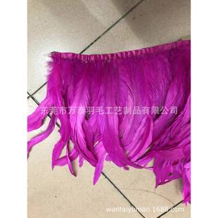 厂家供应3m0布-35c鸡脱色鸡尾毛MDR布边鸡尾边鸡毛鸡尾羽毛染色毛