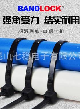 带PA线66自锁龙卡扣扎线尼强力束线带电捆绑带GT-160ST固定器宽4.