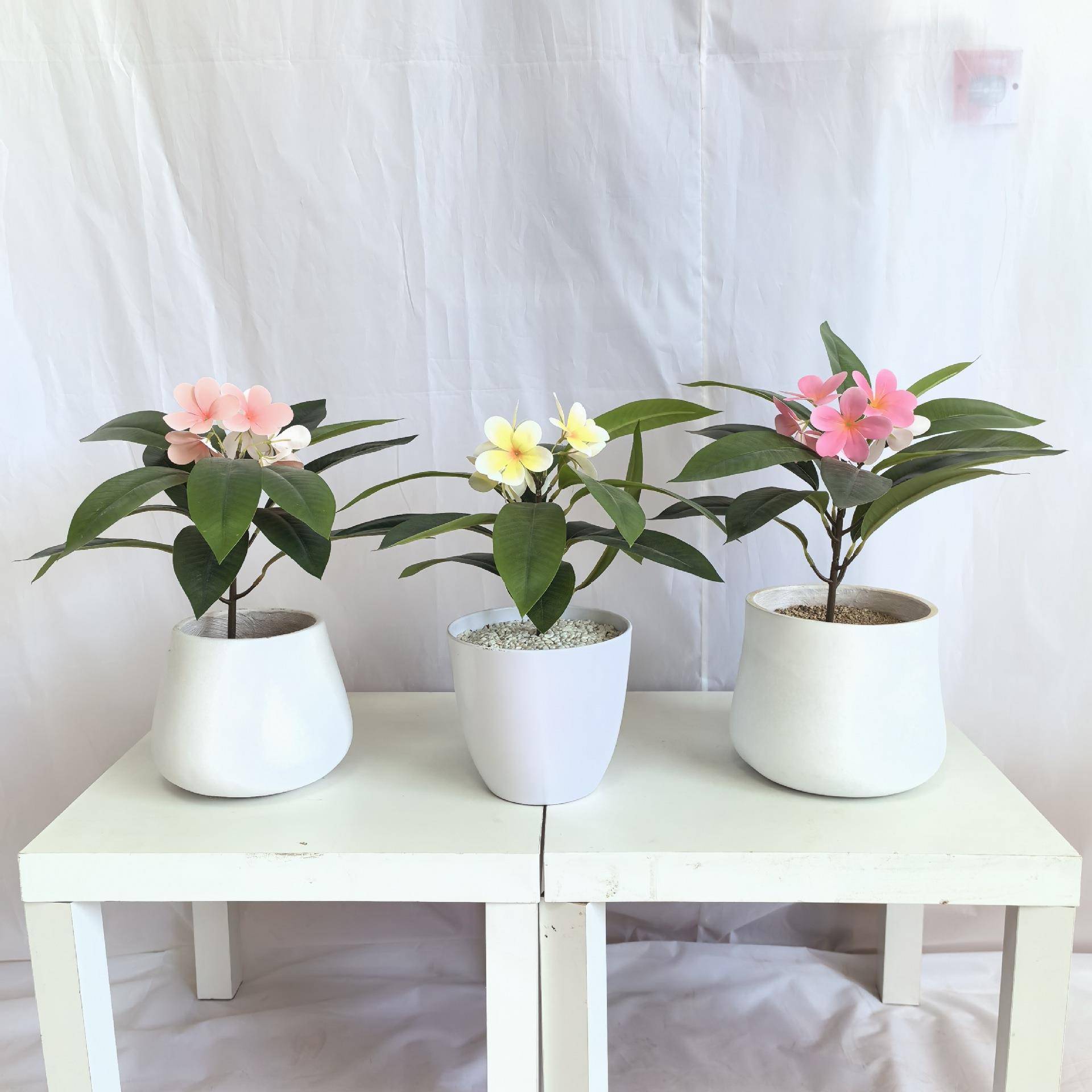 鸡花植饰物蛋配AL-11A材假绿植墙装料植物草坪假花带叶胶片鸡蛋塑