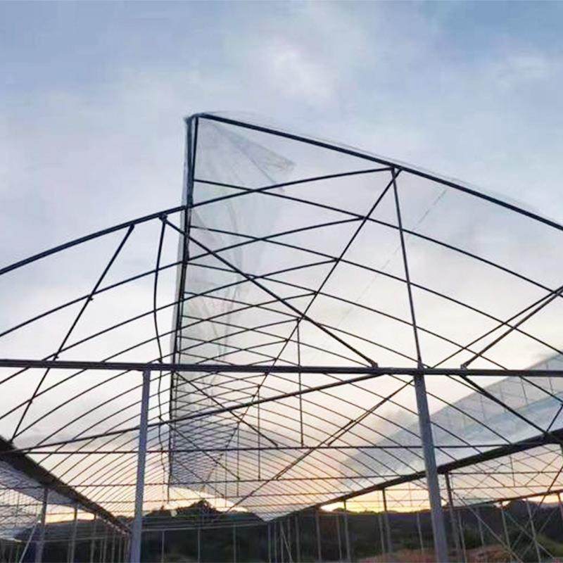 锯室联栋齿温室热镀锌钢管骨架连植栋薄膜温室蔬菜养PNM殖种温大,农机/农具/农膜,智能温室设备,淘宝优惠券,粉丝福利购,淘宝优惠卷