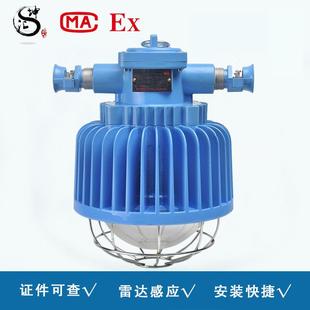 矿用巷道灯感应巷道照明灯矿用隔爆型LED巷道灯 DGS52 127L