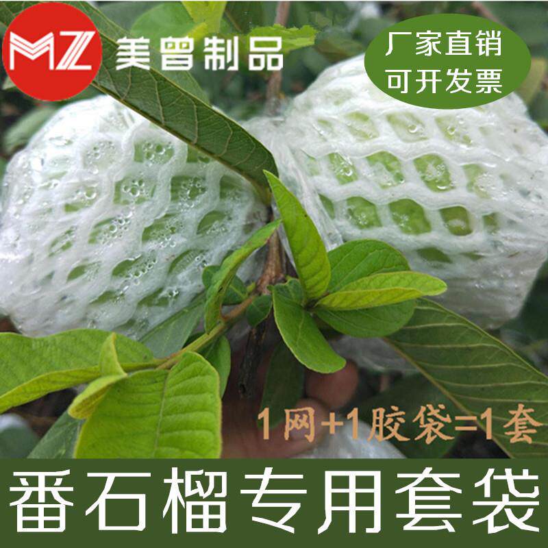 包番石榴防虫袋子水果套袋芭乐袋防果蝇防鸟直筒网胶袋一体袋